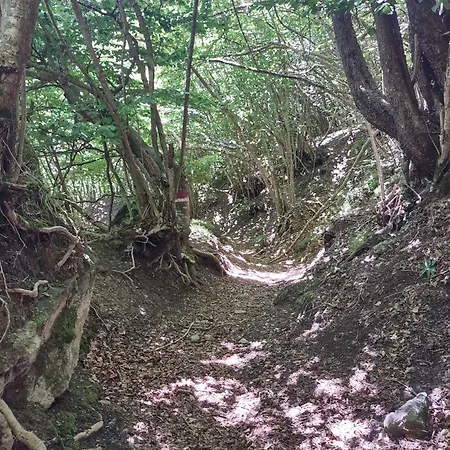 酒店 蒙迪果西奥城堡豪华度假酒店 4*