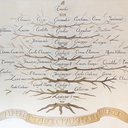 酒店 蒙迪果西奥城堡豪华度假酒店 4*